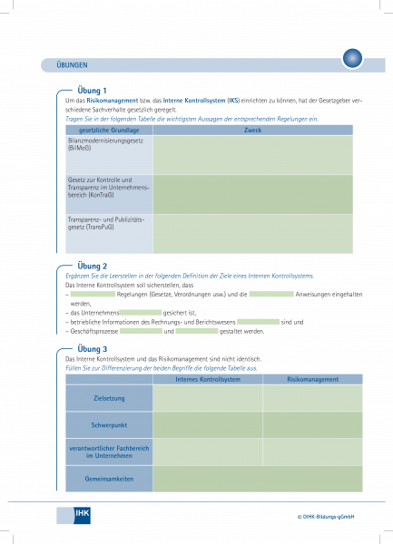 Internes Kontrollsystem (IKS), Interne Revision